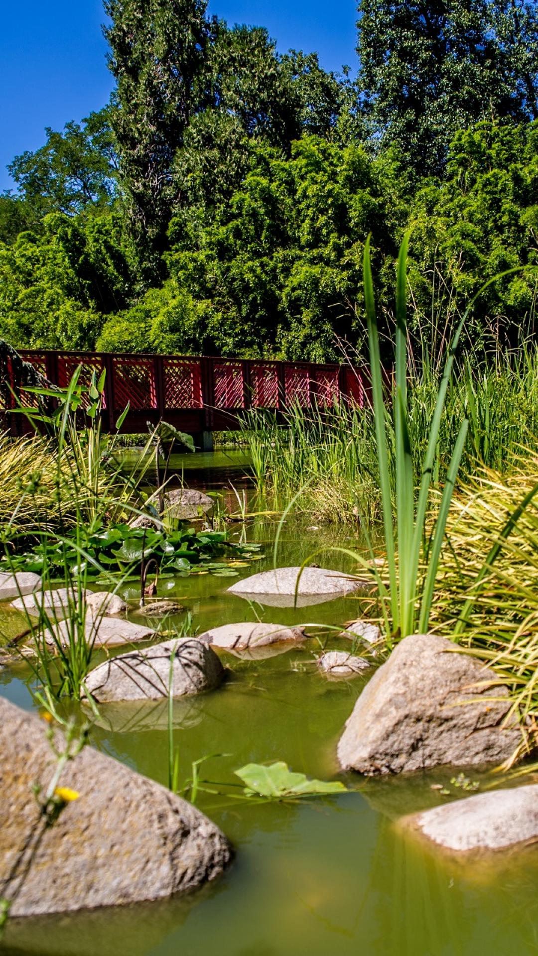  Jardin  des Plantes de Saint Cyprien Office de Tourisme 